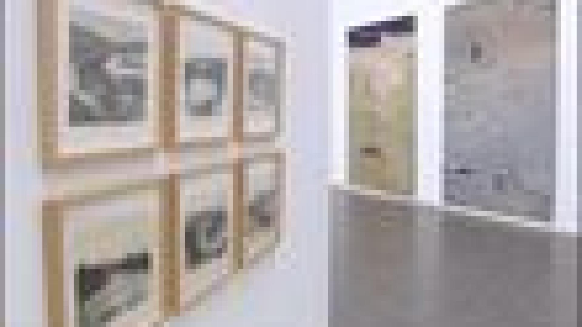 Exposition Laixhay au MAMAC